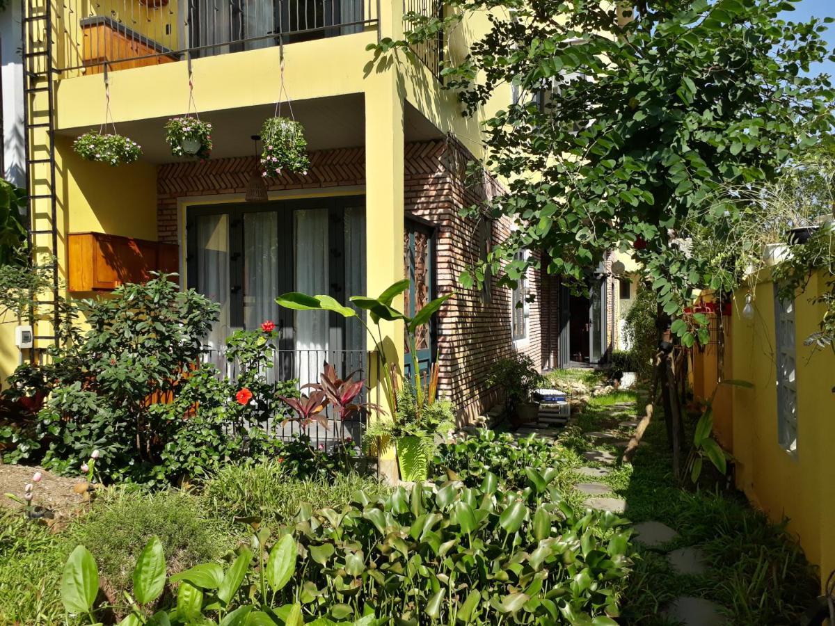 Pink Tulip Hoi An 호텔 외부 사진
